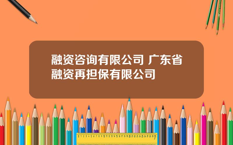 融资咨询有限公司 广东省融资再担保有限公司